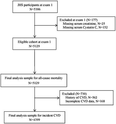 Prediction of cardiovascular events and all-cause mortality using race and race-free estimated glomerular filtration rate in African Americans: the Jackson Heart Study